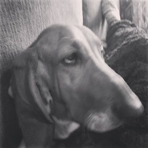 Meet your Posher, Stormi